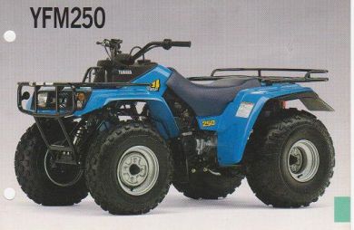 YFM 250 A-B   90-91